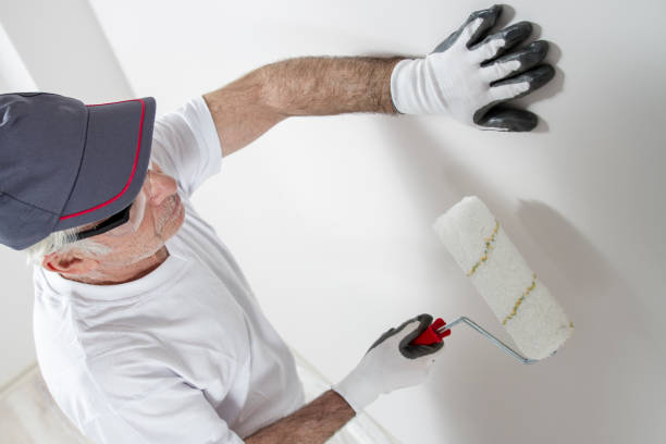 Best Mold Odor Removal Services  in Rock Springs, NM