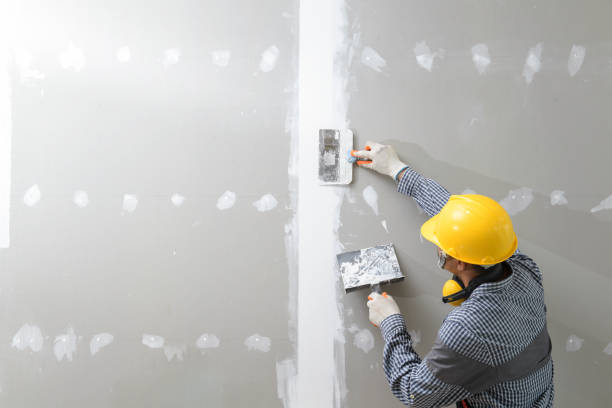 Best Black Mold Removal  in Rock Springs, NM