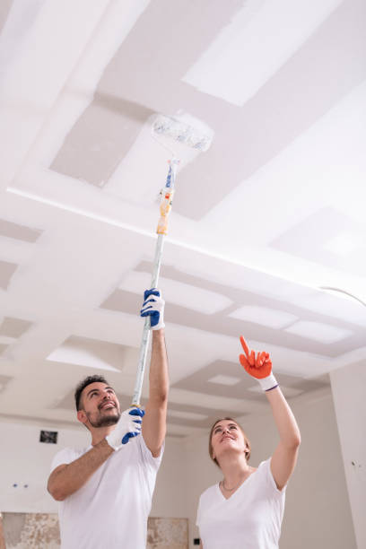 Professional Mold Removal in Rock Springs, NM