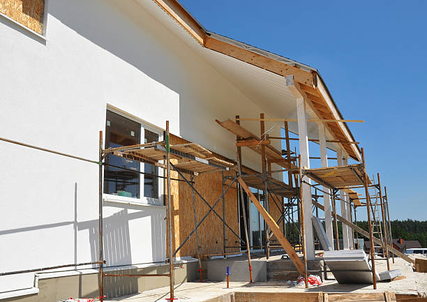 Best Mold Damage Restoration  in Rock Springs, NM
