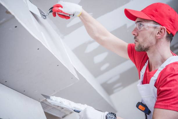 Best Environmental Consulting for Mold Prevention  in Rock Springs, NM