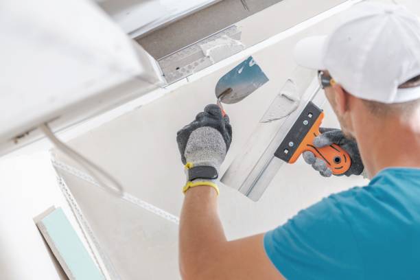 Best Post-Construction Mold Inspection  in Rock Springs, NM